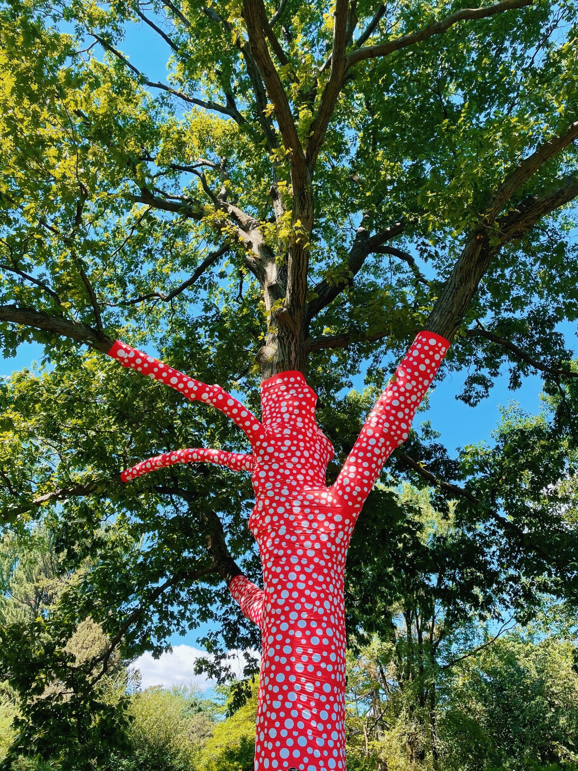 NYBG Press Room » KUSAMA: Cosmic Nature Image Gallery